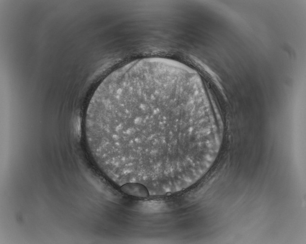 X0000111350067200908071141