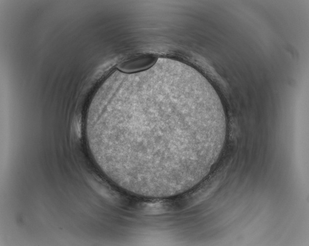X0000111350068200908071141