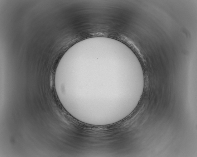X0000111350069200908071141