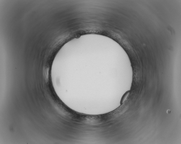 X0000111350070200908071141
