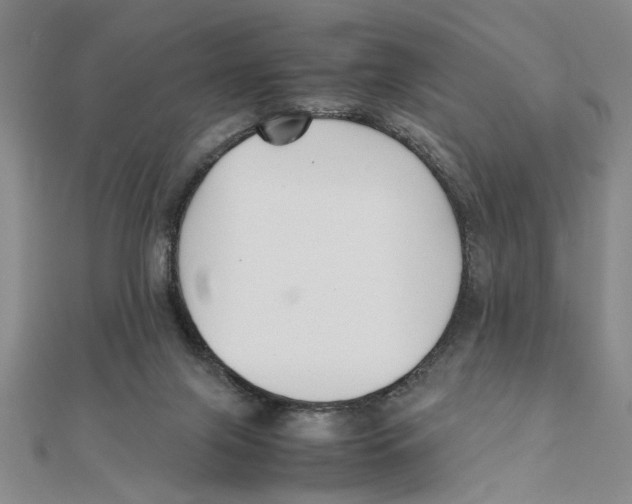 X0000111350071200908071141