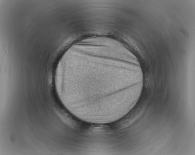 X0000111350072200908071141