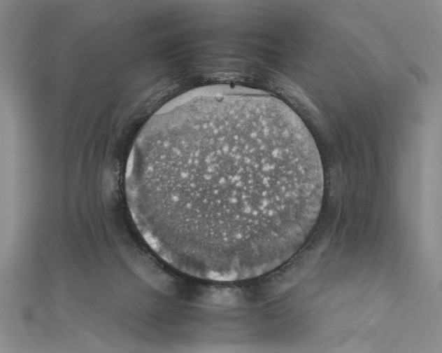 X0000111350073200908071141