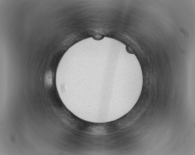 X0000111350075200908071141