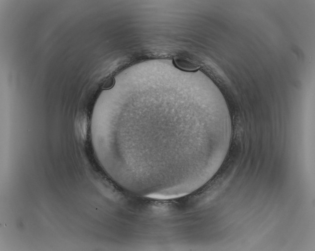 X0000111350076200908071141