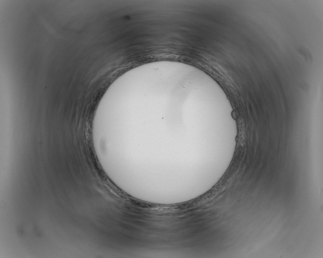 X0000111350077200908071141