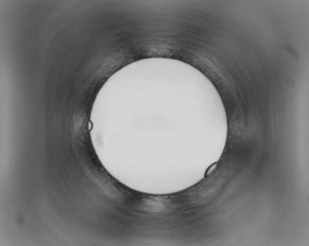 X0000111350079200908071141