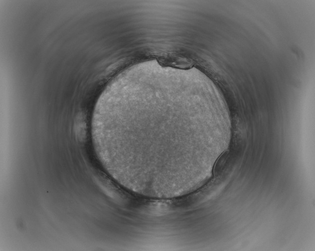 X0000111350080200908071141