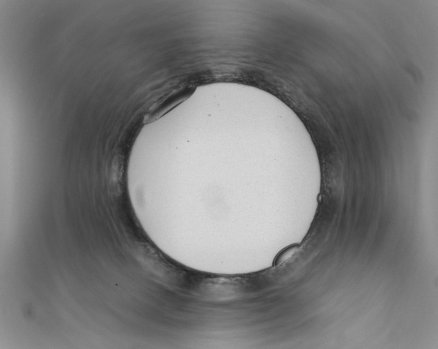 X0000111350082200908071141