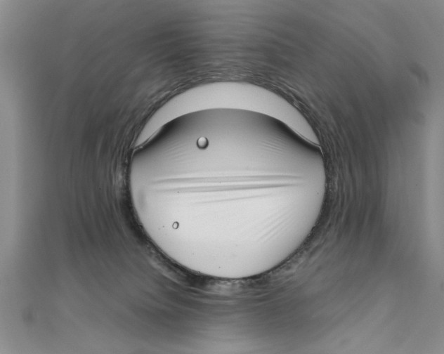 X0000111350084200908071141