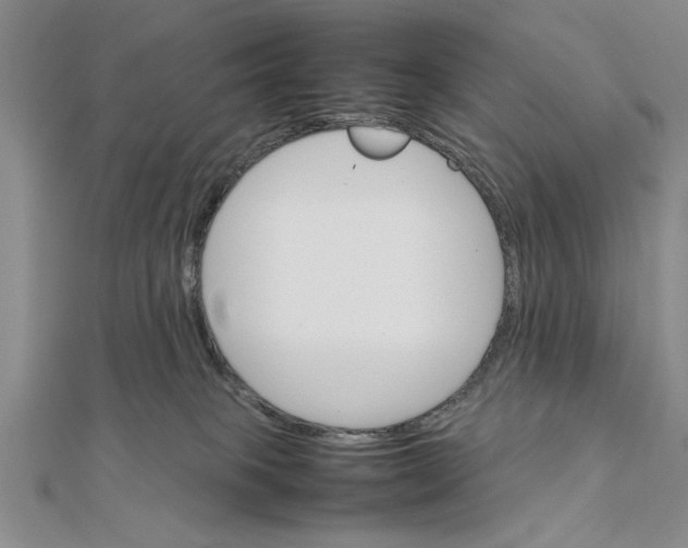 X0000111350085200908071141