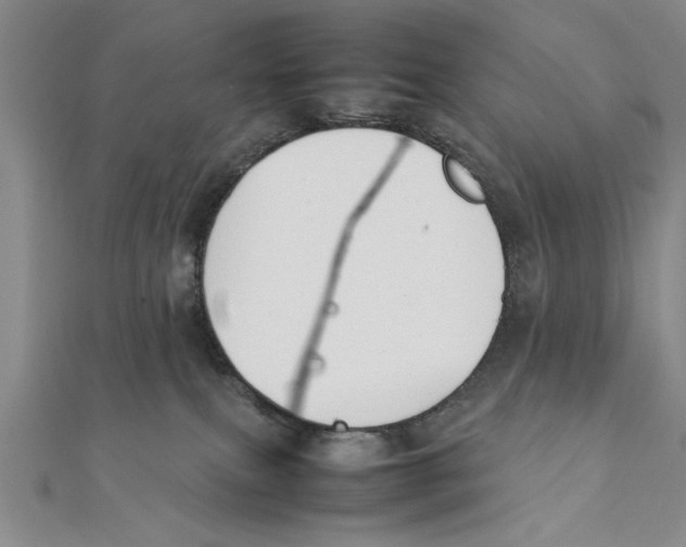 X0000111350087200908071141