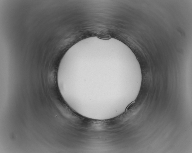X0000111350088200908071141