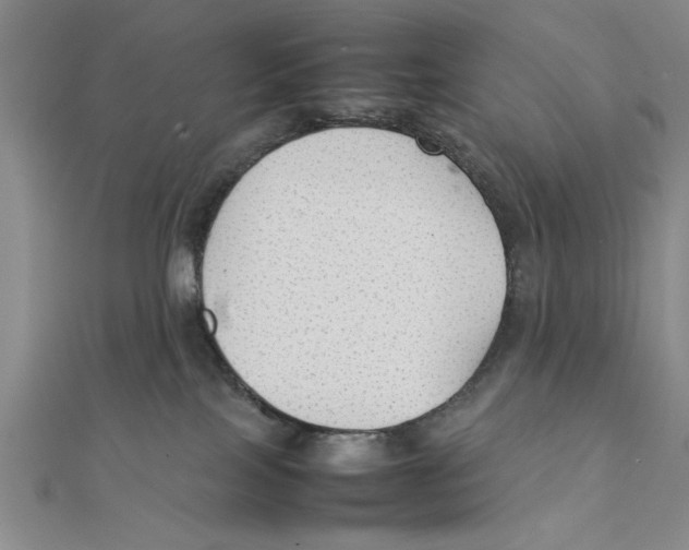 X0000111350089200908071141