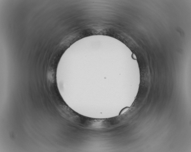 X0000111350090200908071142
