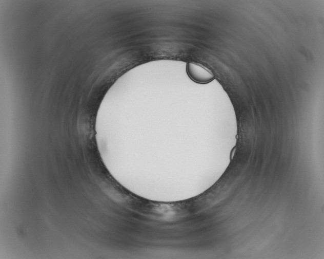 X0000111350091200908071142