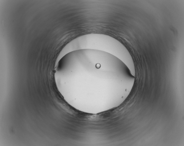 X0000111350092200908071142