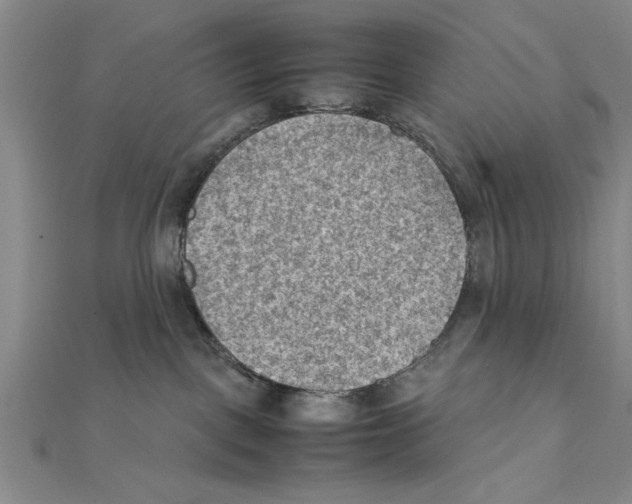 X0000111350093200908071142