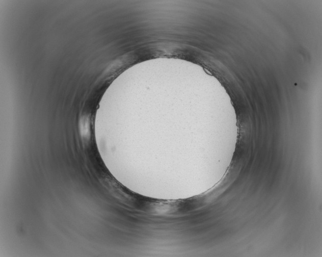 X0000111350094200908071142