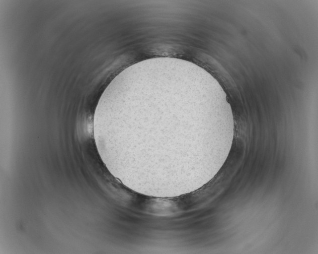 X0000111350095200908071142
