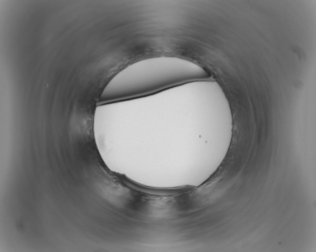 X0000111350096200908071142