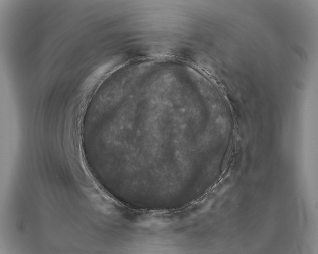 X0000111350097200908071141