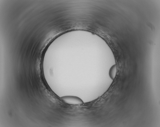 X0000111350098200908071141