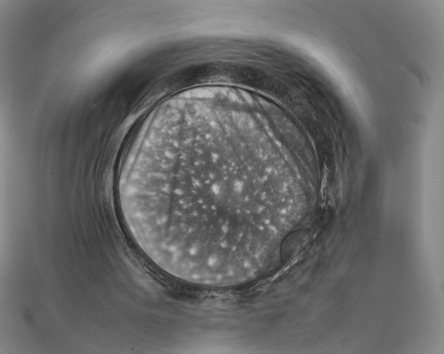 X0000111350099200908071141