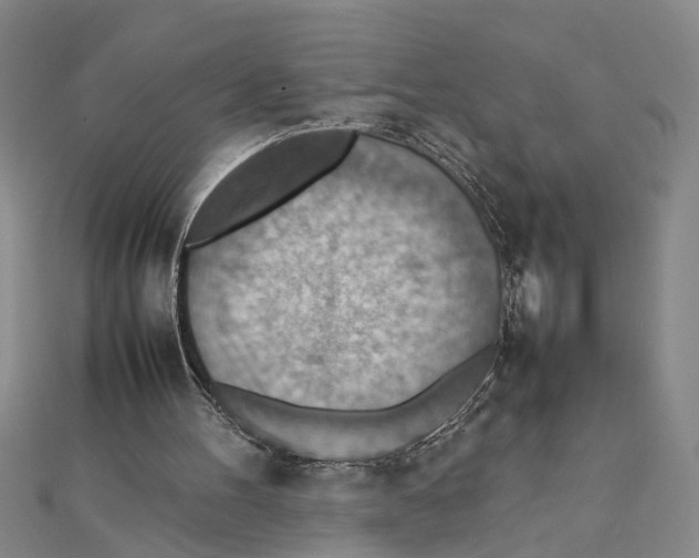X0000111350100200908071141