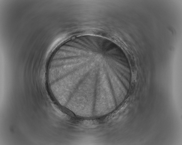 X0000111350101200908071141