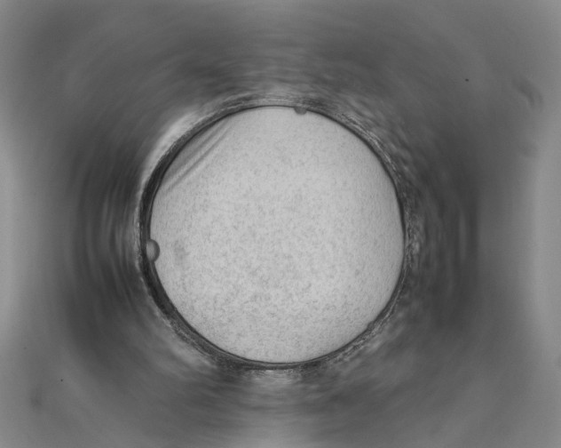 X0000111350102200908071141