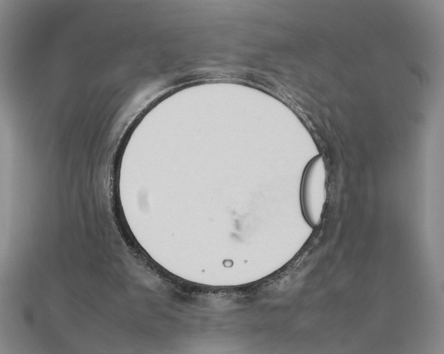 X0000111350103200908071141