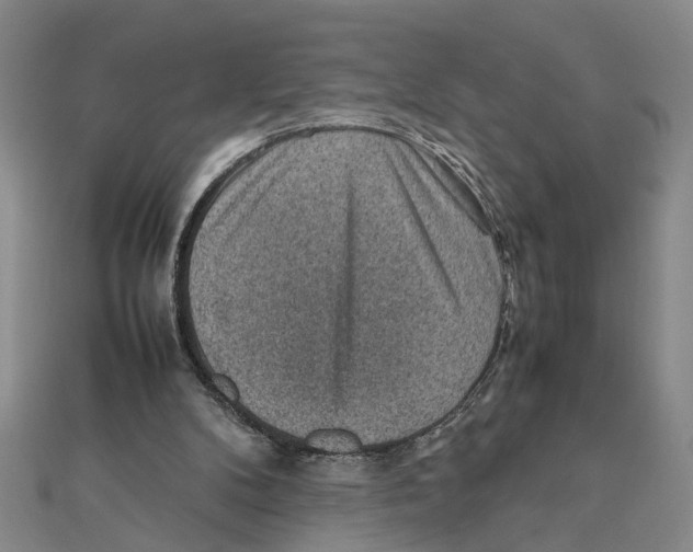 X0000111350104200908071141