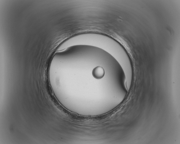 X0000111350105200908071141