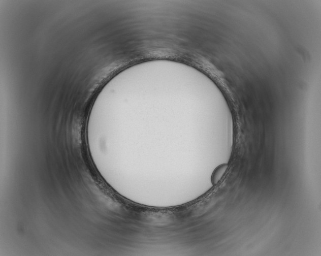 X0000111350106200908071141