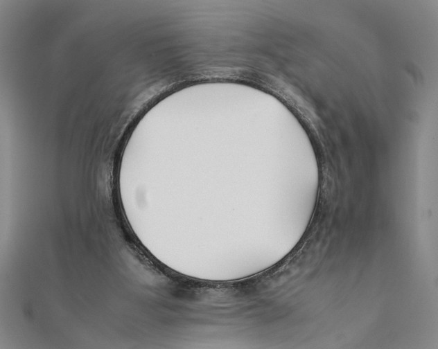 X0000111350107200908071141