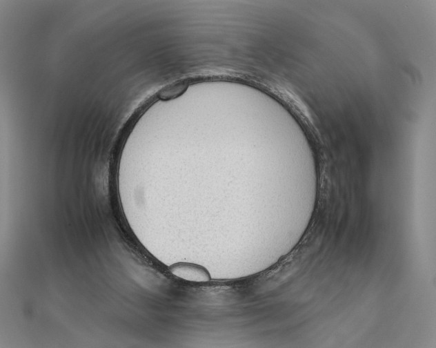 X0000111350108200908071141