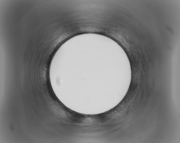 X0000111350111200908071141
