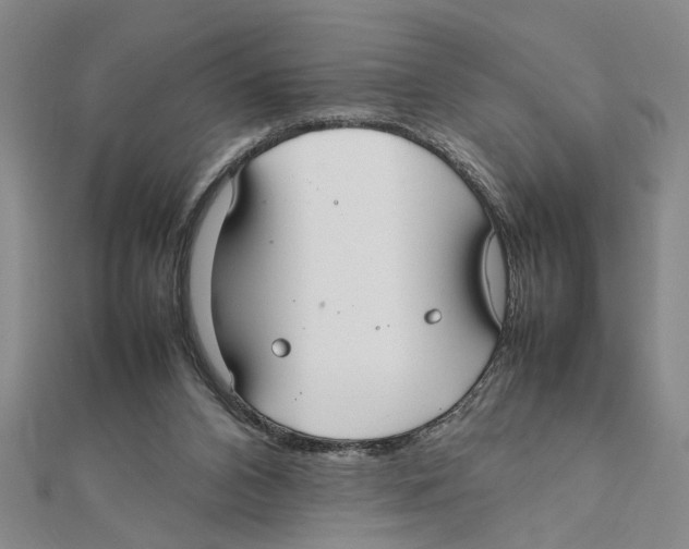 X0000111350112200908071141