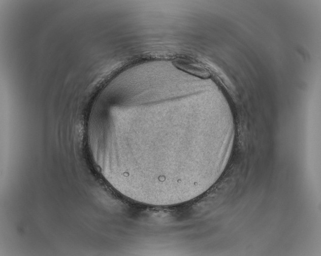 X0000111350113200908071141