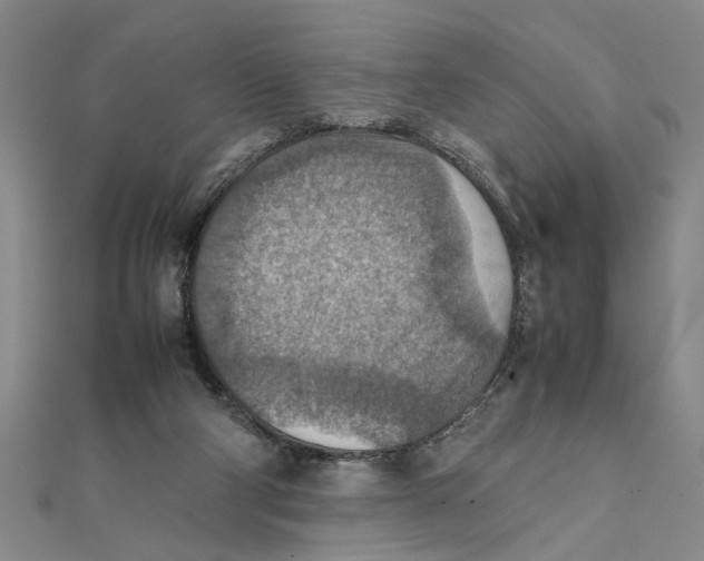 X0000111350114200908071141
