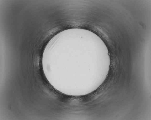 X0000111350115200908071141