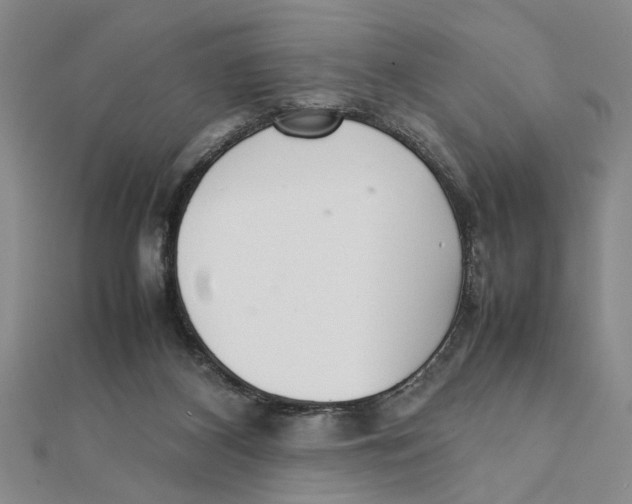 X0000111350116200908071141