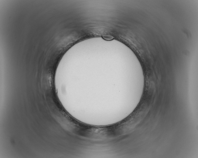 X0000111350117200908071141