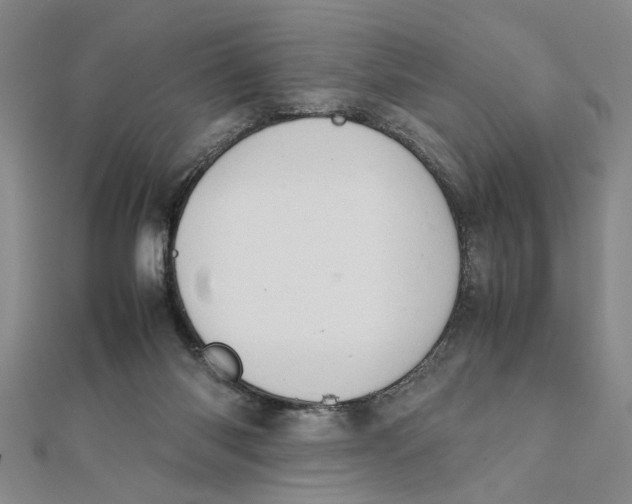 X0000111350118200908071141