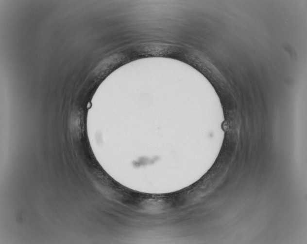 X0000111350119200908071141