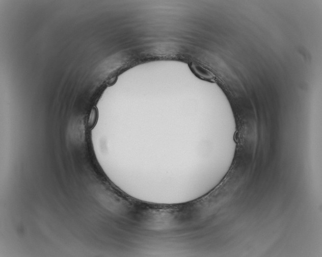 X0000111350120200908071141