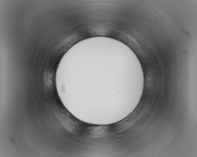 X0000111350122200908071141