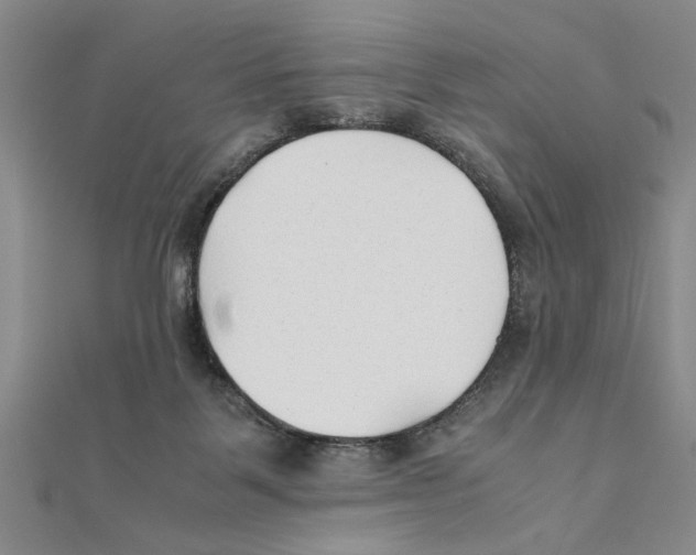X0000111350123200908071141