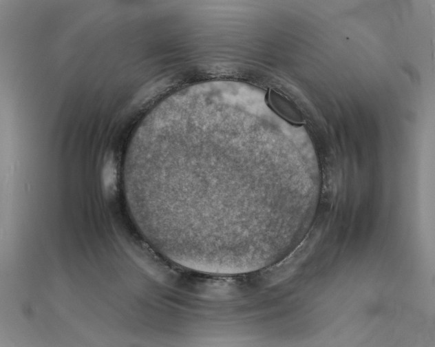 X0000111350124200908071141